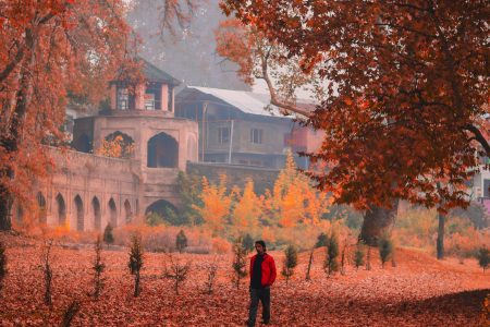 Heavenly Kashmir- 08 Nights / 09 Days