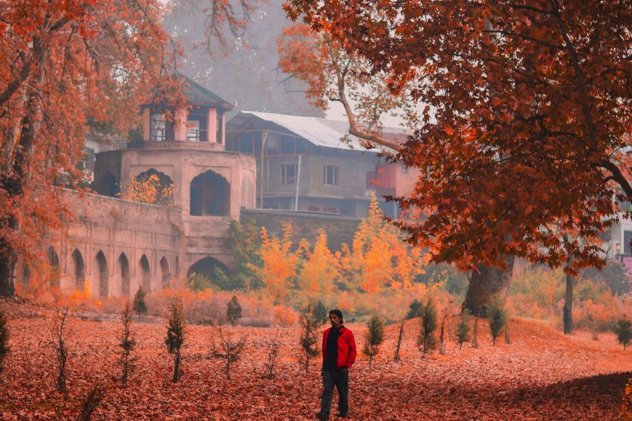 Heavenly Kashmir- 08 Nights / 09 Days
